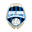 Home team logo