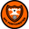 Away team logo