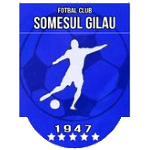АФК Сомешул Джилэу logo