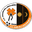 Home team logo