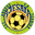 Home team logo