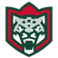Ак Барс Казань logo