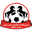 Home team logo