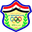 Home team logo