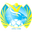 Home team logo