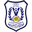 Home team logo
