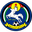 Home team logo