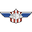 Home team logo