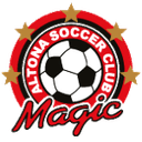 Away team logo