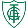 Америка Mg