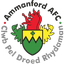 Амманфорд logo