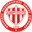 Home team logo