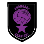home team logo