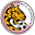 Home team logo