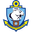 Home team logo