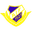 Home team logo