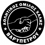 home team logo
