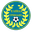 Home team logo
