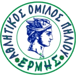 АО Эрмис Пилиу logo