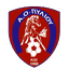 АО Пилиу logo