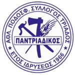 home team logo
