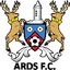 teamLogo