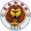 Aris Leeuwarden