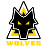 Arkansas Wolves FC