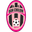 Home team logo