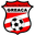 Home team logo