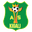 Home team logo