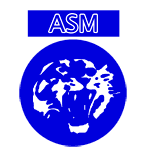 АС Минжетт Вениссо logo