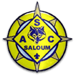 ФК Салум logo