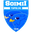 Home team logo