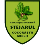 АС Штежарул Горуна Кокорэштий Мислий logo