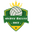 Home team logo