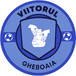 ФК Вииторул Гебоая logo