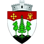 АС Вииторул Хородник Де Сус logo