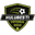 Home team logo