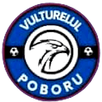 АС Вултурелул Побору logo