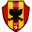 Home team logo