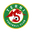 Home team logo