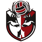home team logo