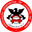 Home team logo