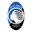 Home team logo