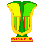 Атлетико Пальмафлор Винто logo