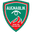 Home team logo