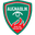 Home team logo
