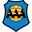 Home team logo
