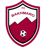 Бахмаро Чохатаури logo